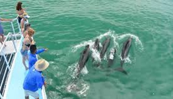 Catamaran Tour Manuel Antonio