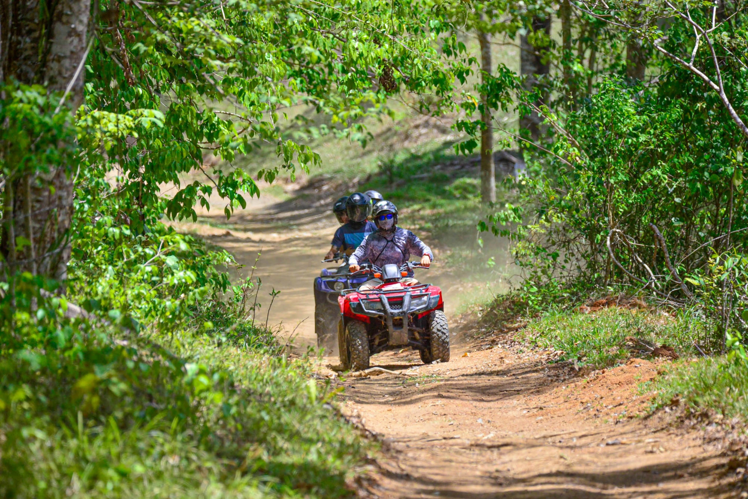 Jungle Trails ATV Tour